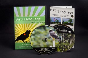 Bird Language DVD Set