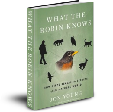 What-The-Robin-knows-Jon-Young