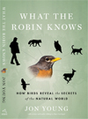 what-the-robin-knows-book-cover-sm-jon-young